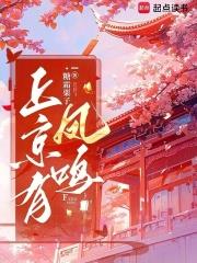 上京有凤鸣